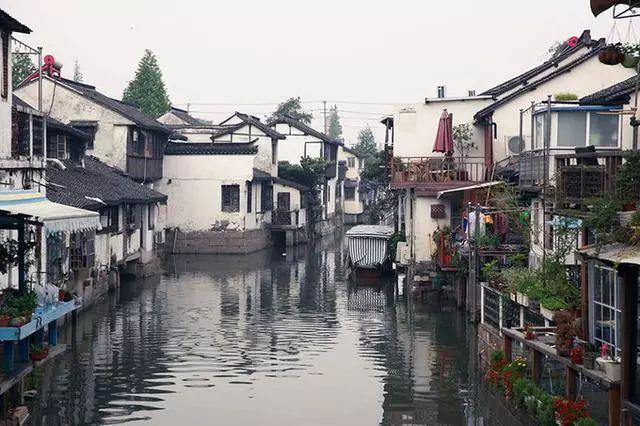 青年之声 生生不息(二)